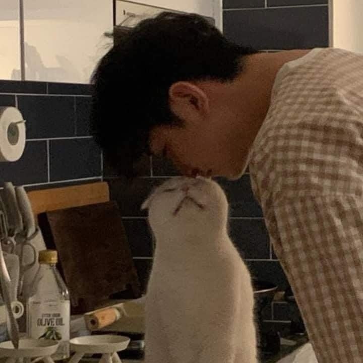   ,     ,       ... - 4