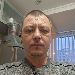 ���������, 44 ����, ��������