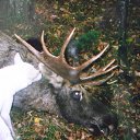 ���� �����, ���������, 65 ��� - ��������� 5 ������� 2025 � ������ ���� ����������