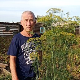 ���� ������, ����-���, 63 ���� - ��������� 1 ������� 2024