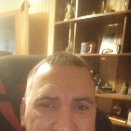 , 37, 