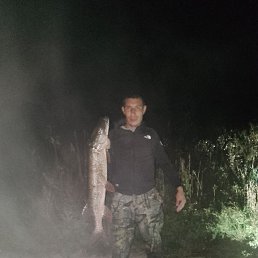 ����, 35 ���, �����������