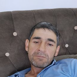 , 46 , 