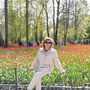 ���� ������, �����-���������, 59 ��� - ��������� 11 ����� 2026 � ������ ���� ����������