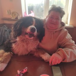 �����, ������������, 46 ���