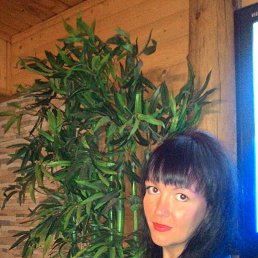 ����, 37 ���, ������