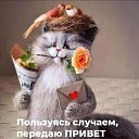 ���� ��������, ������, 84 ���� - ��������� 8 ���� 2026 � ������ ������ ��������