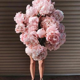 �����, ������ ��������, 24 ����