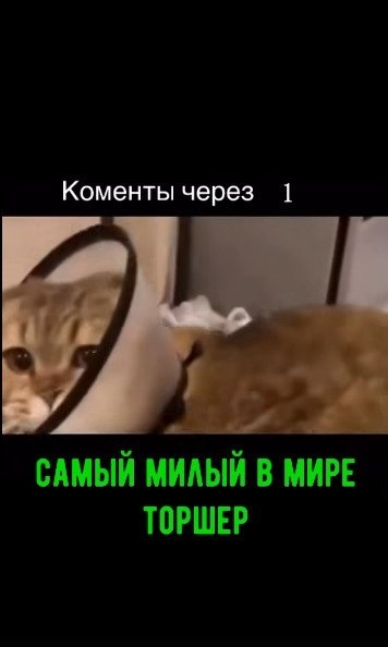 ����� ����� � ���� ������, ������� ������ ����� ������� ����������!