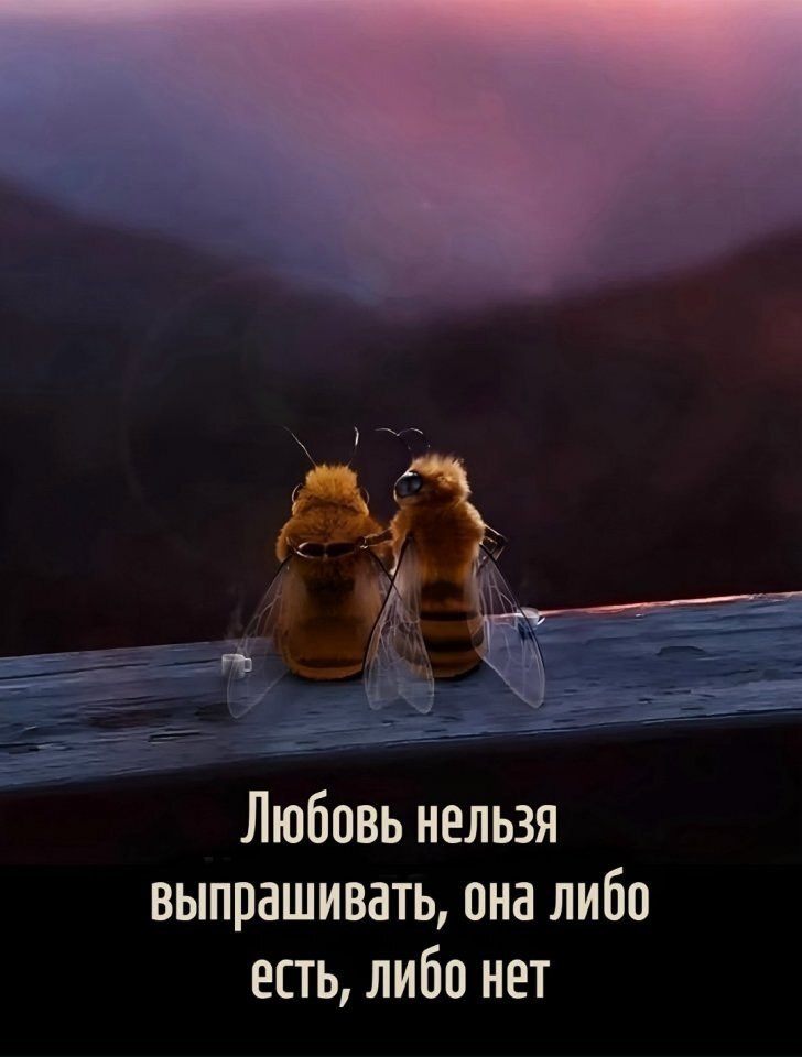 Сложно не согласиться - 4