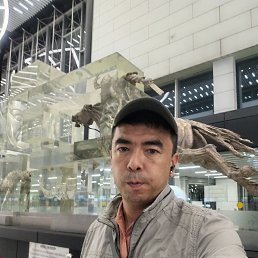 , 38, 