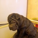 ���� ����, ������-��-����, 58 ��� - ��������� 1 ������ 2026