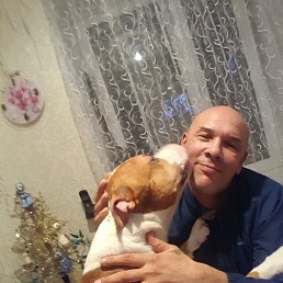 , 56, 
