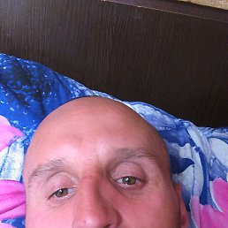, 40, 