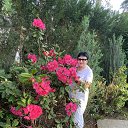 ���� ������, ���������, 68 ��� - ��������� 14 ����� 2024 � ������ ���� ����������