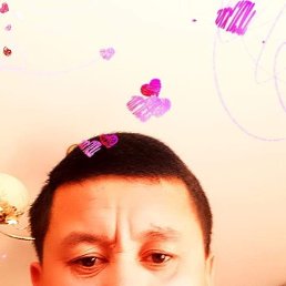 ���� ������, �����, 42 ���� - ��������� 23 ����� 2026