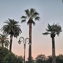 ���� ��, ������-��-���� - ��������� 10 ������� 2024 � ������ �������� ������� 24�