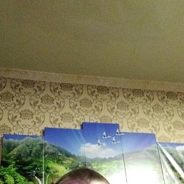 �������, 50 ���, �������