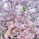 ���� �����, ���������, 56 ��� - ��������� 15 ������� 2025 � ������ ���� ����������