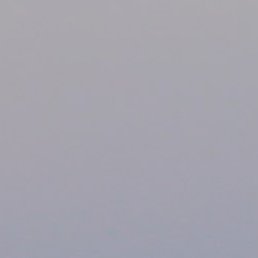 ������, ������, 38 ���