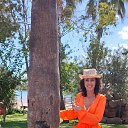  , , 58  -  29  2025   ,  2025