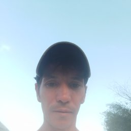 , 39, 
