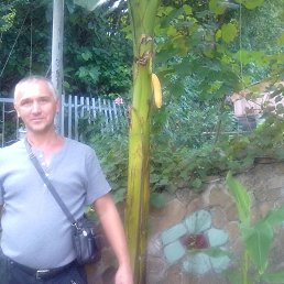 ��������, 58 ���, ���������