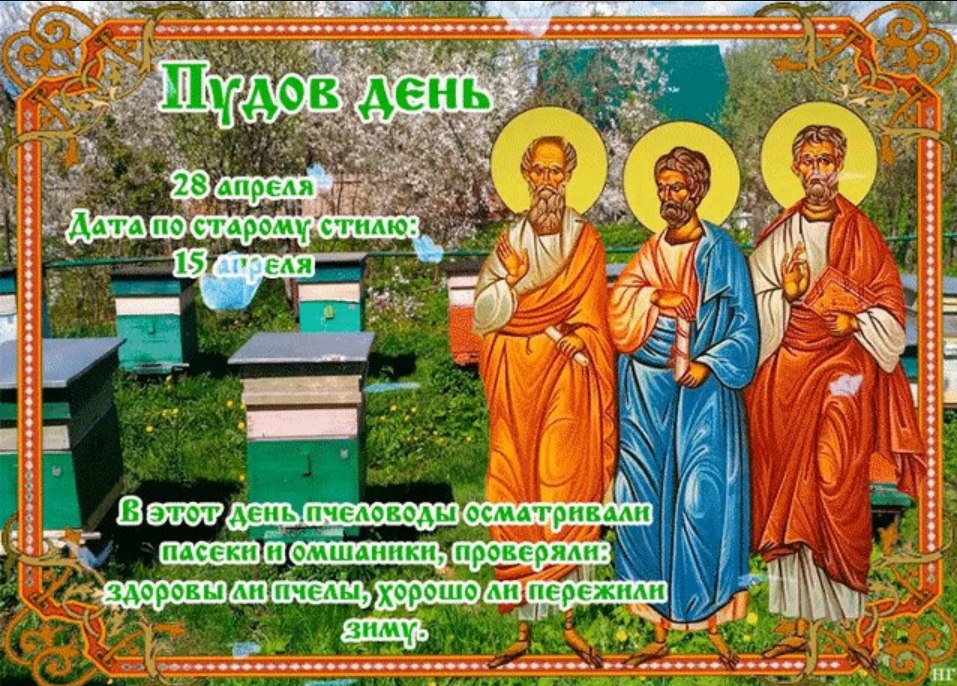 Сегодня 28 апреля (15 апреля по старому стилю). Пудов день. В этот день пчеловоды осматривали пасеки ...