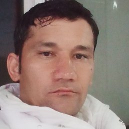 ������, ������, 41 ���