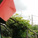  , , 51  -  8  2024   24  !!!!!!!!!!!!!!