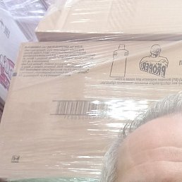 ����, �������, 55 ���