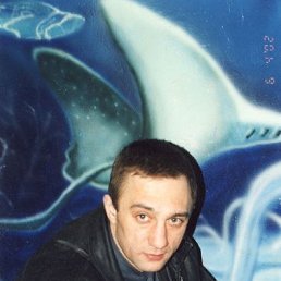 , 49, 