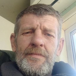 ������, �������, 48 ���