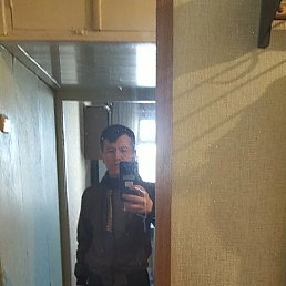 , 37, 