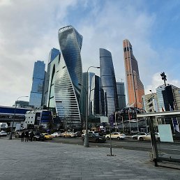 Vi, ��������, 31 ���