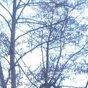 ��������, 56 ���, ������