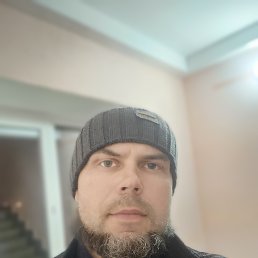 , 41, 