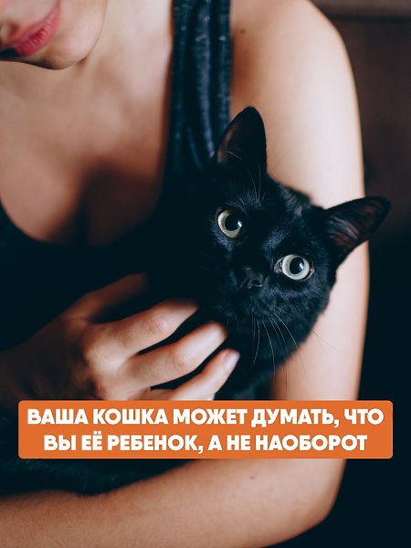      ,    ...