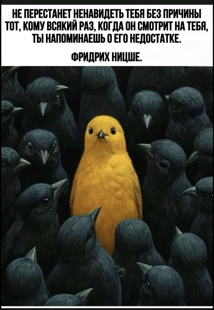 ������������� ���� - 18 ������� 2025 � 11:15