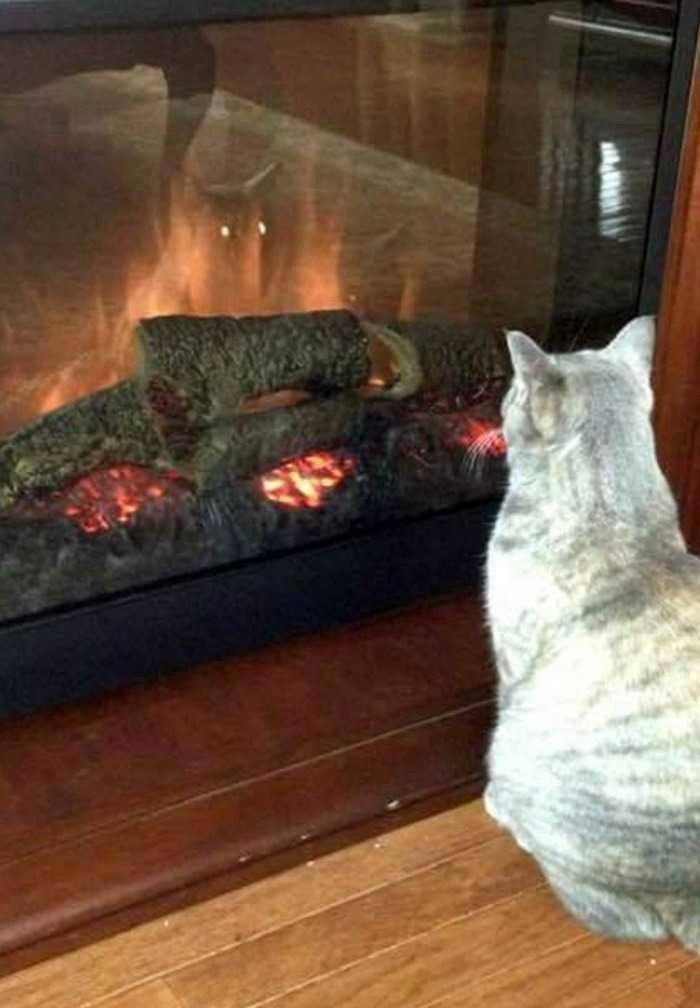 =>