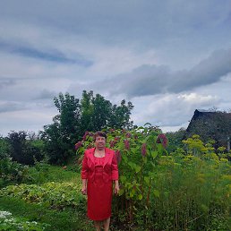 , 66, -