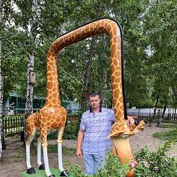 , 46, 