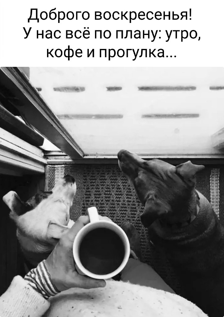 �������� ������� - 11 ������ 2026 � 08:45