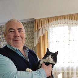 , 65, 