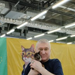 ���� �����, ������, 55 ��� - ��������� 18 ������� 2026