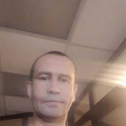 , 53, 