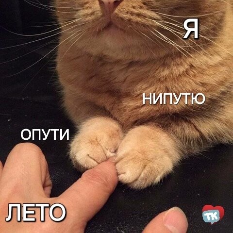   - 31  2025  09:03