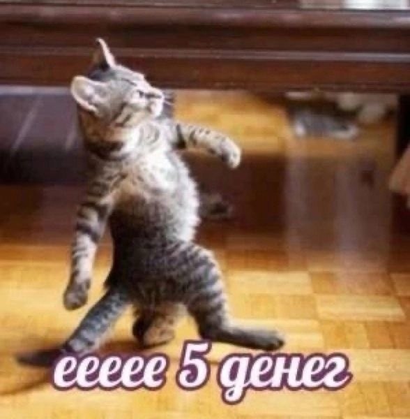  ... - 5
