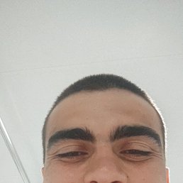 , 23, 