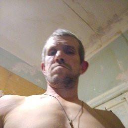 �����, 40 ���, ������